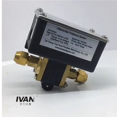 Maximum Allowable Static 14bar Water Differential Pressure Flow Switch for Filters